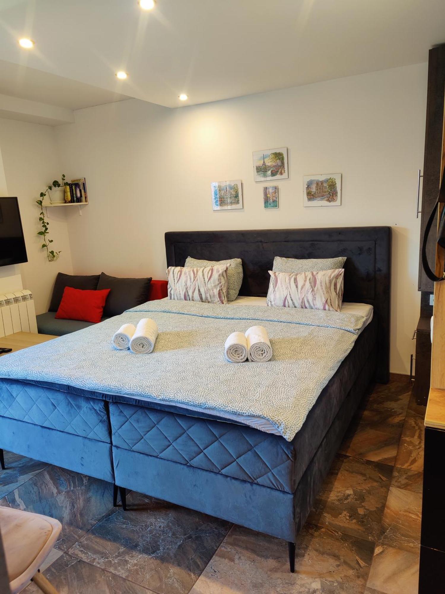 Kala Apartment Novi Sad Extérieur photo