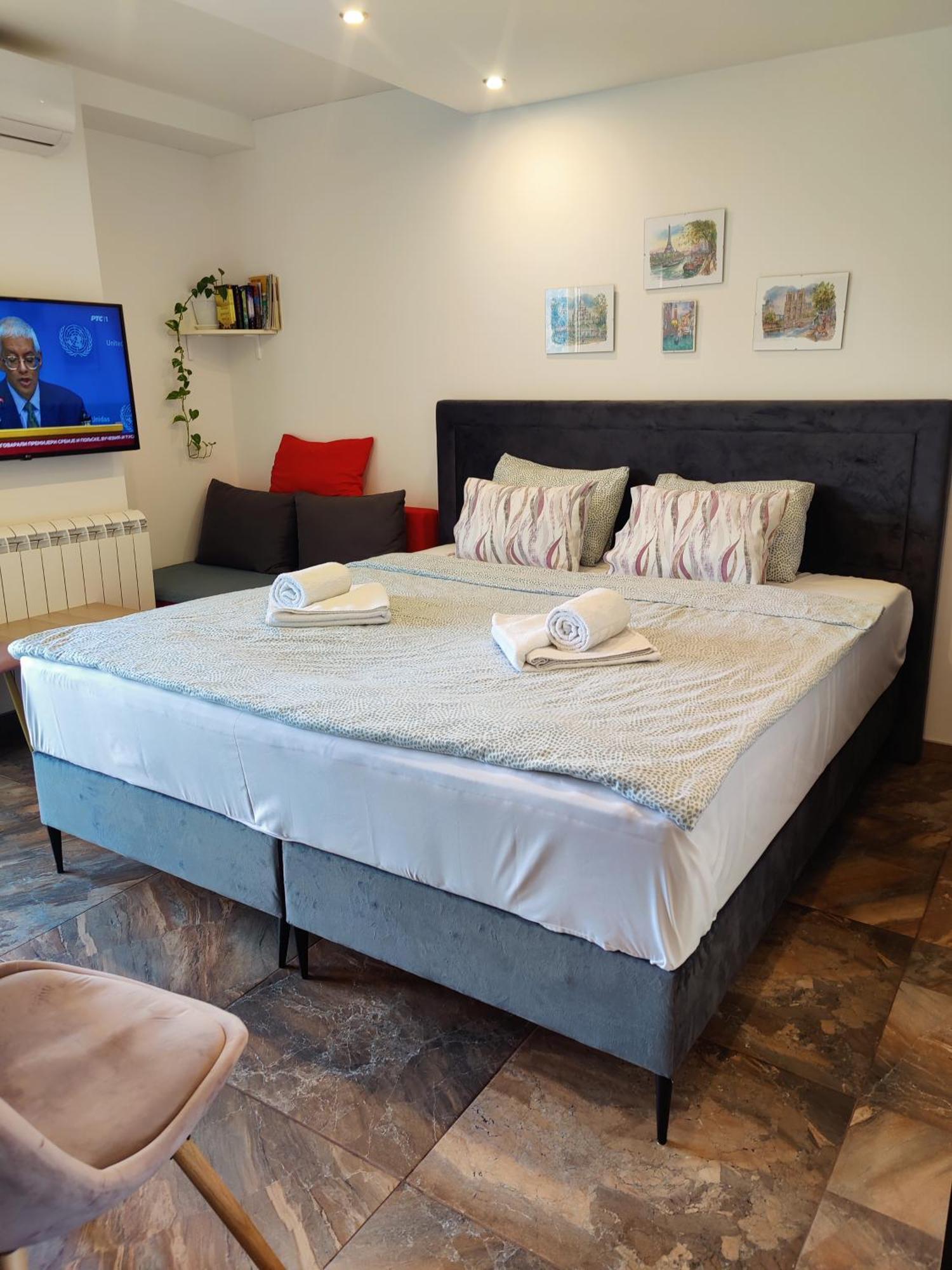 Kala Apartment Novi Sad Extérieur photo